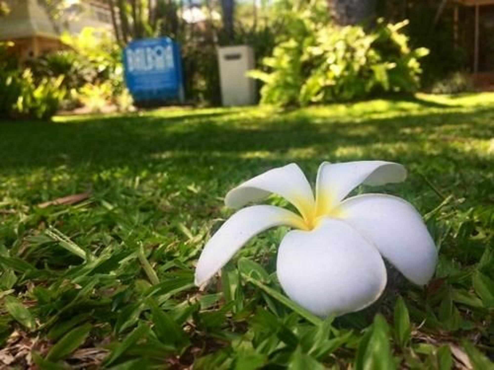 Balboa Apartments Port Douglas Eksteriør bilde